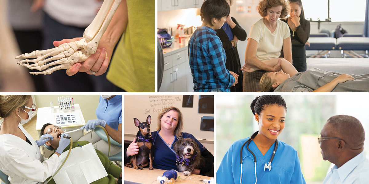 multiple images of noncredit students