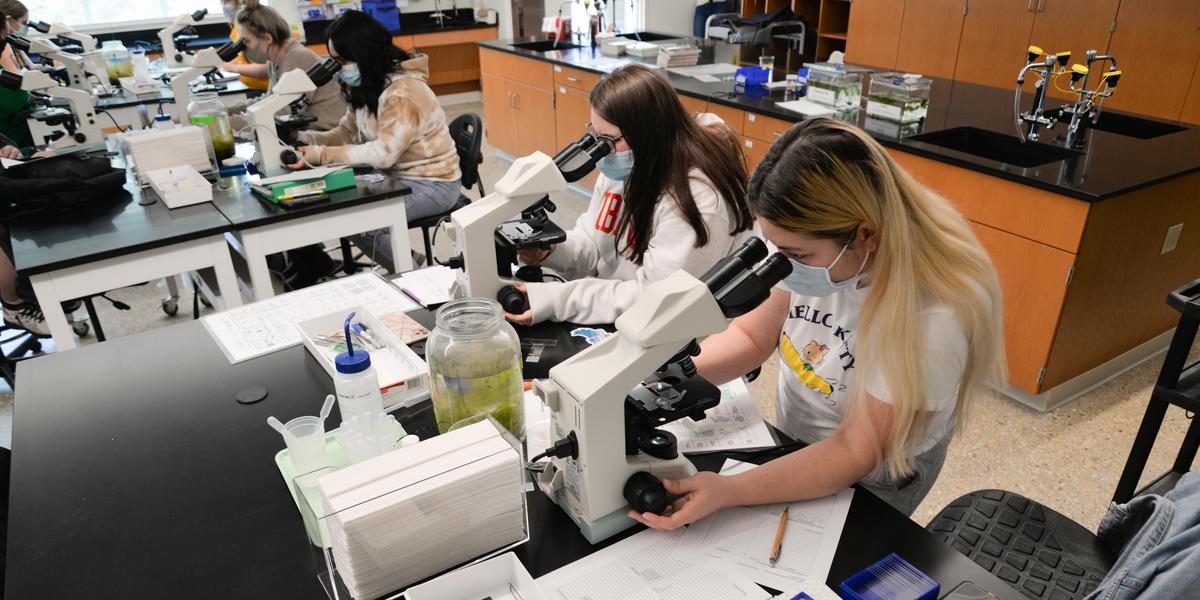 学生在生物课上检查物品.